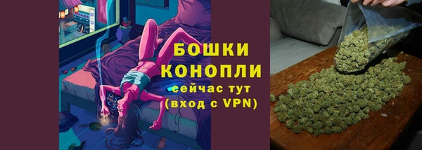 гидропоника Горнозаводск