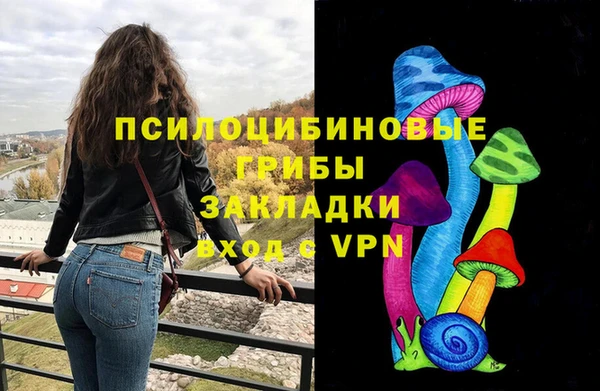 МДПВ Горно-Алтайск
