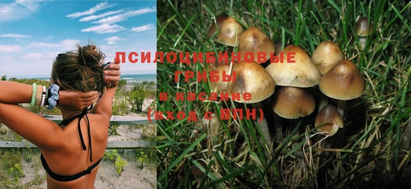 МДПВ Горно-Алтайск