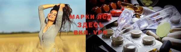 гидропоника Горнозаводск