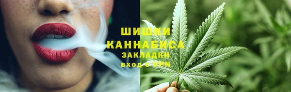 гидропоника Горнозаводск