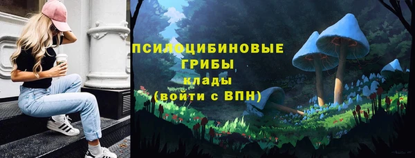 МДПВ Горно-Алтайск